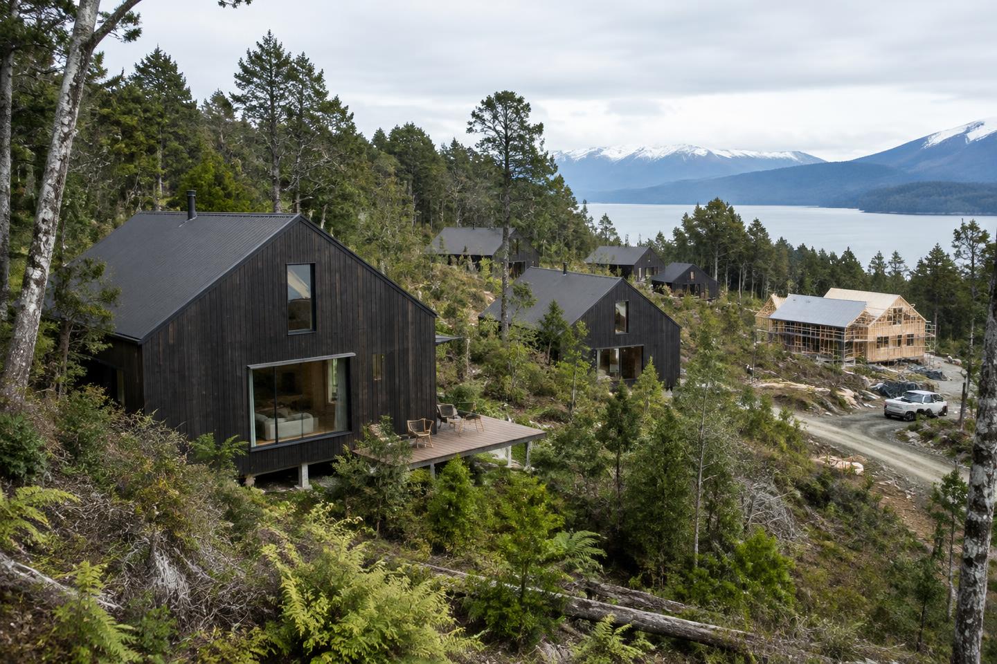 Bosque Llanquihue